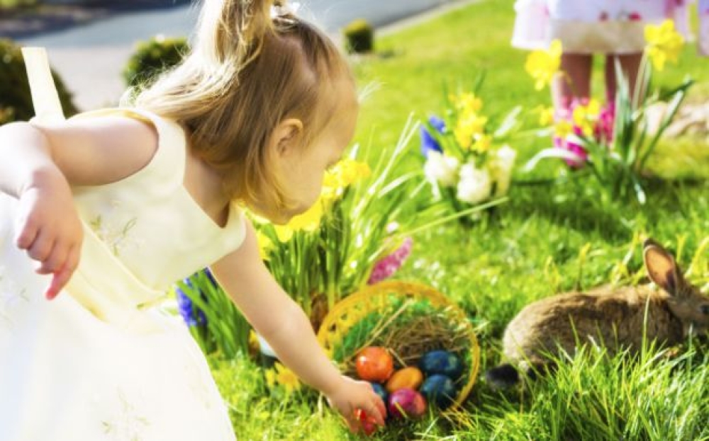 &Pi;&alpha;&sigma;&chi;&alpha;&lambda;&iota;&nu;ή &gamma;&iota;&omicron;&rho;&tau;ή &delta;&eta;&mu;&iota;&omicron;&upsilon;&rho;&gamma;ί&alpha;&sigmaf; &gamma;&iota;&alpha; &tau;&alpha; &pi;&alpha;&iota;&delta;&iota;ά &sigma;&tau;&omicron;&nu; Ά&gamma;&iota;&omicron; &Delta;&eta;&mu;ή&tau;&rho;&iota;&omicron;