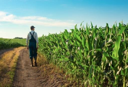 ΣΣ ΚΑΠ: Τι ισχύει για τη σύσταση Ομάδων και Οργανώσεων Παραγωγών