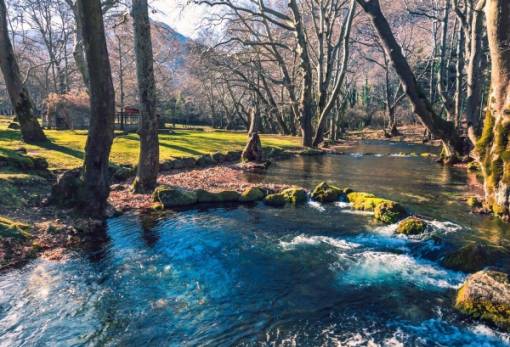 Εκδράμει στη Βόρεια Ελλάδα ο «Πάρνων» Κοκκινόραχης