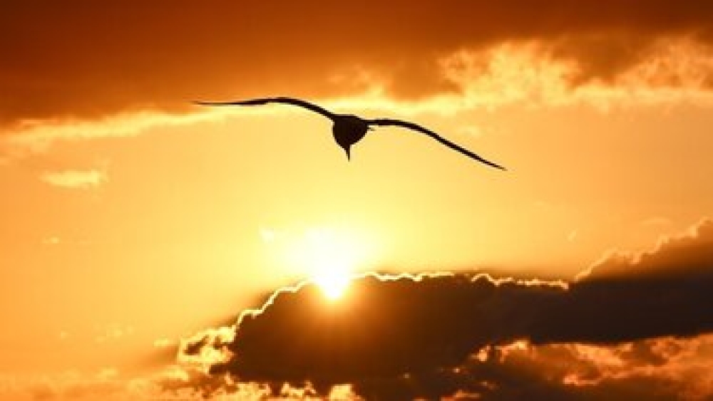 &Eta; &Epsilon;&upsilon;&rho;ώ&pi;&eta; &kappa;&alpha;ί&gamma;&epsilon;&tau;&alpha;&iota;: &Theta;&epsilon;&rho;&mu;&omicron;&kappa;&rho;&alpha;&sigma;ί&epsilon;&sigmaf; &sigma;&epsilon; &iota;&sigma;&tau;&omicron;&rho;&iota;&kappa;ά &upsilon;&psi;&eta;&lambda;ά &kappa;&alpha;&iota; &omicron;&iota; &sigma;&upsilon;&nu;έ&pi;&epsilon;&iota;&epsilon;&sigmaf; &sigma;&tau;&eta;&nu; &Epsilon;&upsilon;&rho;ώ&pi;&eta;