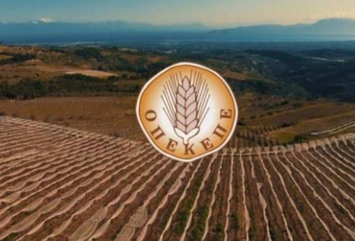 ΟΠΕΚΕΠΕ: Παράταση στην υποβολή  της ΕΑΕ 2024