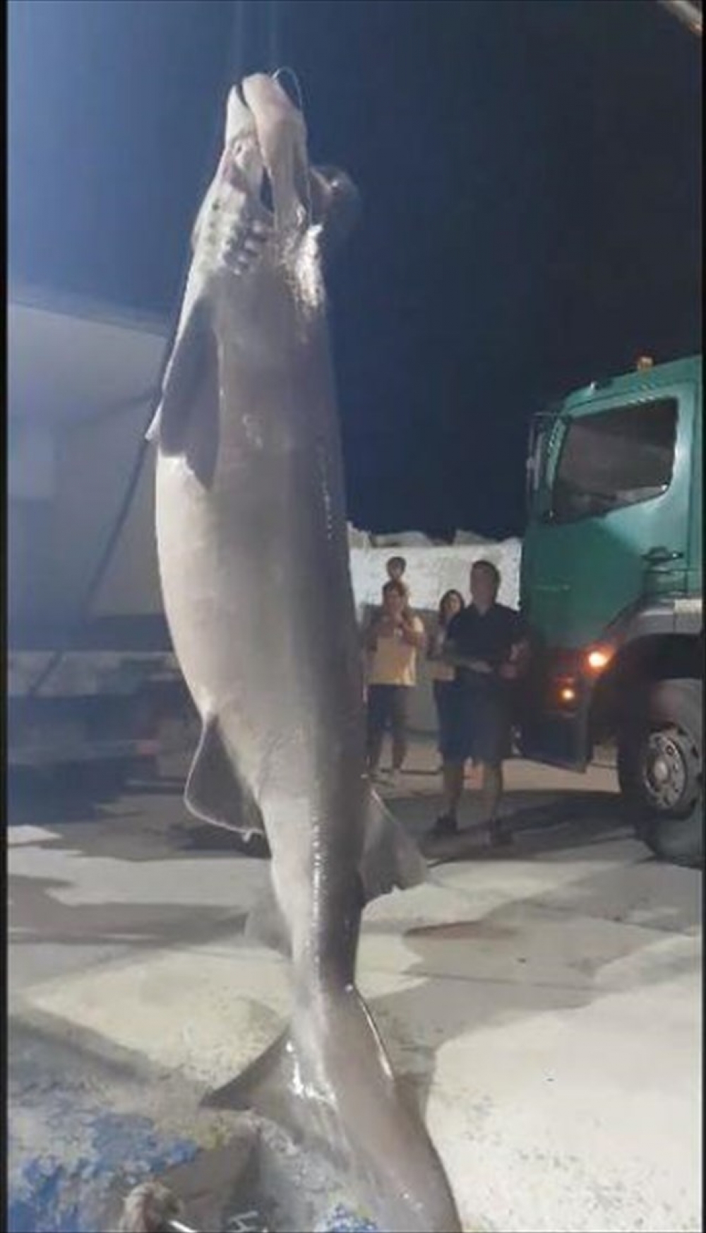 &Psi;ά&rho;&epsilon;&psi;&alpha;&nu; &pi;&rho;&omicron;&sigma;&tau;&alpha;&tau;&epsilon;&upsilon;ό&mu;&epsilon;&nu;&omicron; &kappa;&alpha;&rho;&chi;&alpha;&rho;ί&alpha; &sigma;&tau;&eta; &theta;&alpha;&lambda;ά&sigma;&sigma;&iota;&alpha; &pi;&epsilon;&rho;&iota;&omicron;&chi;ή &tau;&omicron;&upsilon; &Alpha;&gamma;ί&omicron;&upsilon; Ό&rho;&omicron;&upsilon;&sigmaf;