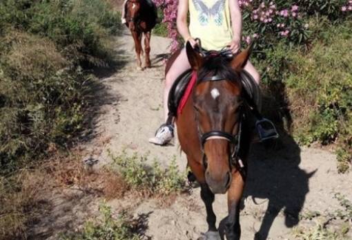 Μια ημέρα με τα άλογα στη Σκούρα