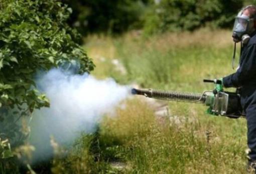 Ενημέρωση για το πρόγραμμα κουνουποκτονίας ζητεί η Μαργ. Σπυριδάκου