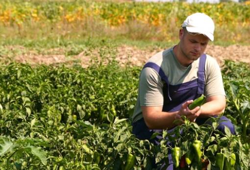 Νέα ΚΑΠ: Τέλος τα δικαιώματα ενίσχυσης
