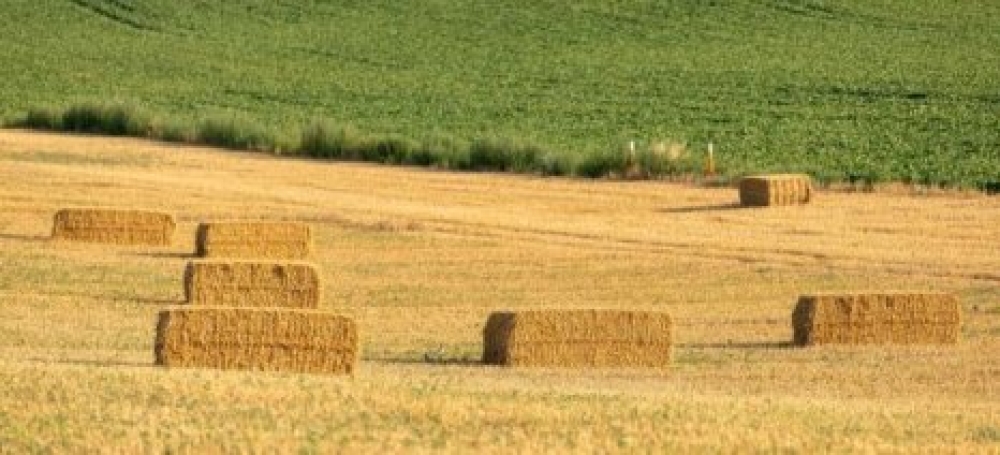 &Alpha;&pi;ό &tau;&iota;&sigmaf; 10 έ&omega;&sigmaf; &tau;&iota;&sigmaf; 22 &Iota;&omicron;&upsilon;&nu;ί&omicron;&upsilon; &theta;&alpha; &epsilon;ί&nu;&alpha;&iota; &delta;&iota;&alpha;&theta;έ&sigma;&iota;&mu;&eta; &eta; &epsilon;&phi;&alpha;&rho;&mu;&omicron;&gamma;ή &upsilon;&pi;&omicron;&beta;&omicron;&lambda;ή&sigmaf; &alpha;ί&tau;&eta;&sigma;&eta;&sigmaf; &gamma;&iota;&alpha; de minimis &epsilon;&nu;&iota;&sigma;&chi;ύ&sigma;&epsilon;&iota;&sigmaf; &mu;&eta;&delta;&iota;&kappa;ή&sigmaf;