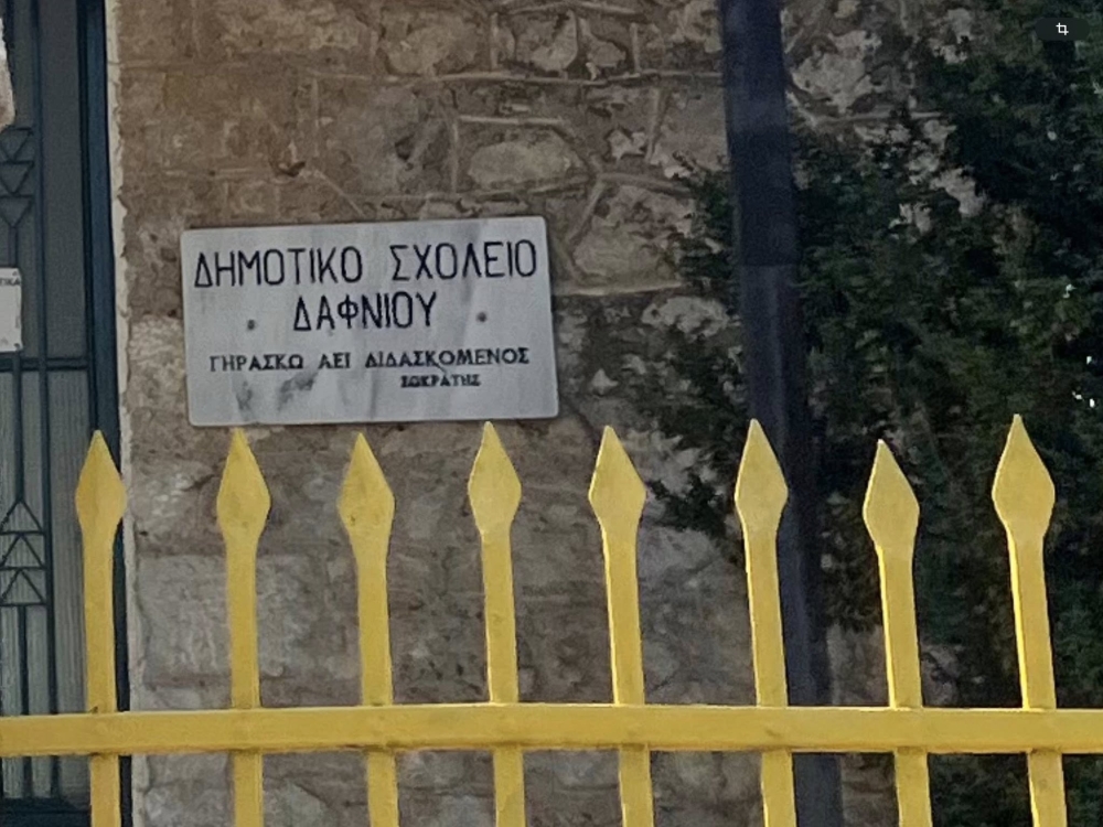 Ά&mu;&epsilon;&sigma;&eta; &alpha;&nu;ά&kappa;&lambda;&eta;&sigma;&eta; &tau;&eta;&sigmaf; &upsilon;&pi;&omicron;&beta;ά&theta;&mu;&iota;&sigma;&eta;&sigmaf; &tau;&omicron;&upsilon; &Delta;&eta;&mu;&omicron;&tau;&iota;&kappa;&omicron;ύ &Delta;&alpha;&phi;&nu;ί&omicron;&upsilon; &zeta;&eta;&tau;ά &eta; &Nu;. &Gamma;&rho;&eta;&gamma;&omicron;&rho;ά&kappa;&omicron;&upsilon;
