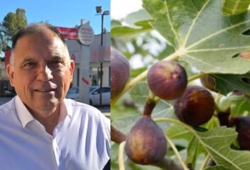 Αναφορά Κρητικού για την εξαίρεση των Λακώνων συκοπαραγωγών από το Μέτρο 23