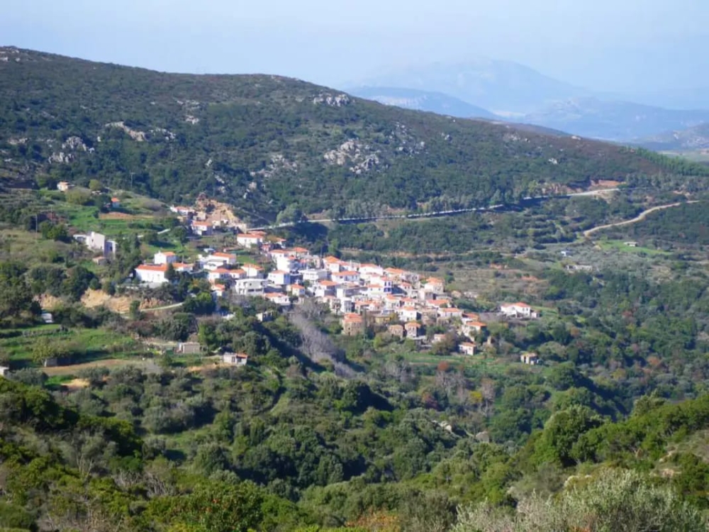 &Tau;&alpha; &Kappa;&omicron;&upsilon;&lambda;έ&nu;&tau;&iota;&alpha; &kappa;ό&beta;&omicron;&upsilon;&nu; &beta;&alpha;&sigma;&iota;&lambda;ό&pi;&iota;&tau;&alpha;