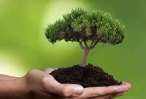 «Όλοι Μαζί Νέα Αρχή για τον Ευρώτα»: «Τα δάση μας χρειάζονται τώρα περισσότερο από ποτέ»