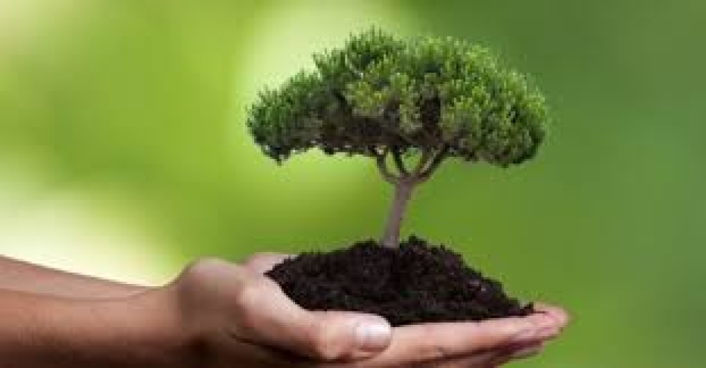 &laquo;Ό&lambda;&omicron;&iota; &Mu;&alpha;&zeta;ί &Nu;έ&alpha; &Alpha;&rho;&chi;ή &gamma;&iota;&alpha; &tau;&omicron;&nu; &Epsilon;&upsilon;&rho;ώ&tau;&alpha;&raquo;: &laquo;&Tau;&alpha; &delta;ά&sigma;&eta; &mu;&alpha;&sigmaf; &chi;&rho;&epsilon;&iota;ά&zeta;&omicron;&nu;&tau;&alpha;&iota; &tau;ώ&rho;&alpha; &pi;&epsilon;&rho;&iota;&sigma;&sigma;ό&tau;&epsilon;&rho;&omicron; &alpha;&pi;ό &pi;&omicron;&tau;έ&raquo;