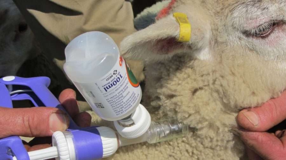 &Epsilon;&upsilon;&lambda;&omicron;&gamma;&iota;ά &sigma;&tau;&alpha; &alpha;&iota;&gamma;&omicron;&pi;&rho;ό&beta;&alpha;&tau;&alpha;: &Eta; &Epsilon;.&Epsilon;. &delta;&epsilon;&nu; έ&chi;&epsilon;&iota; &epsilon;&gamma;&kappa;&epsilon;&kappa;&rho;&iota;&mu;έ&nu;&omicron; &epsilon;&mu;&beta;ό&lambda;&iota;&omicron;