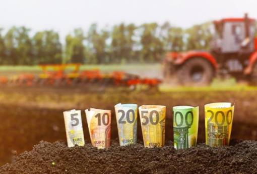 Τι θα συμβεί με τις πληρωμές ΟΠΕΚΕΠΕ του Ιουλίου  Εντατικοί οι έλεγχοι