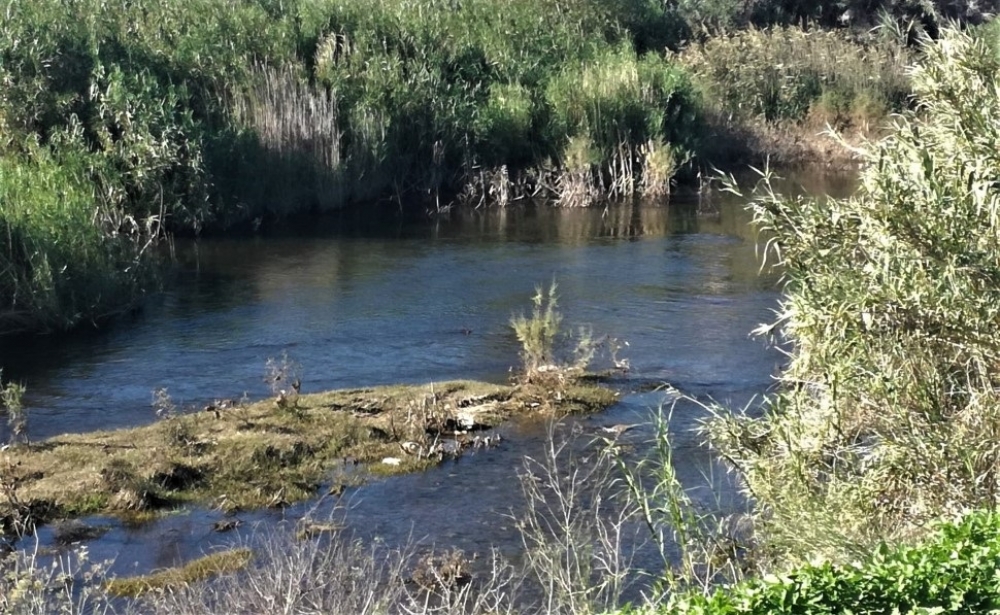 &laquo;&Omicron; &iota;&sigma;&tau;&omicron;&rho;&iota;&kappa;ό&sigmaf; &Epsilon;&upsilon;&rho;ώ&tau;&alpha;&sigmaf; &pi;&alpha;&rho;&alpha;&mu;έ&nu;&epsilon;&iota; &delta;έ&sigma;&mu;&iota;&omicron;&sigmaf; &tau;&omega;&nu; &pi;&rho;&omicron;&beta;&lambda;&eta;&mu;ά&tau;&omega;&nu; &tau;&omicron;&upsilon; &pi;&omicron;&upsilon; &chi;&rho;&omicron;&nu;ί&zeta;&omicron;&upsilon;&nu;&raquo;