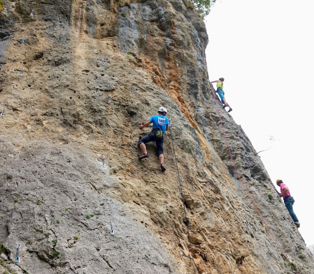 &Sigma;&kappa;&alpha;&rho;&phi;ά&lambda;&omega;&sigma;&alpha;&nu; &sigma;&tau;&alpha; ύ&psi;&eta; &theta;έ&alpha;&mu;&alpha; &kappa;&alpha;&iota; &epsilon;&pi;&iota;&tau;&upsilon;&chi;ί&alpha; &sigma;&tau;&omicron; &Kappa;ύ&pi;&epsilon;&lambda;&lambda;&omicron; &Alpha;&nu;&alpha;&rho;&rho;ί&chi;&eta;&sigma;&eta;&sigmaf; &Beta;&rho;ά&chi;&omicron;&upsilon; &sigma;&tau;&omicron;&nu; &Tau;&alpha;ΰ&gamma;&epsilon;&tau;&omicron; (&Phi;&Omega;&Tau;&Omicron;)