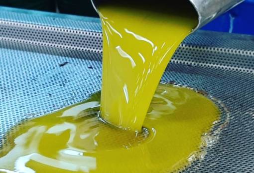 Χωρίς «ταβάνι» το ελαιόλαδο στη Λακωνία