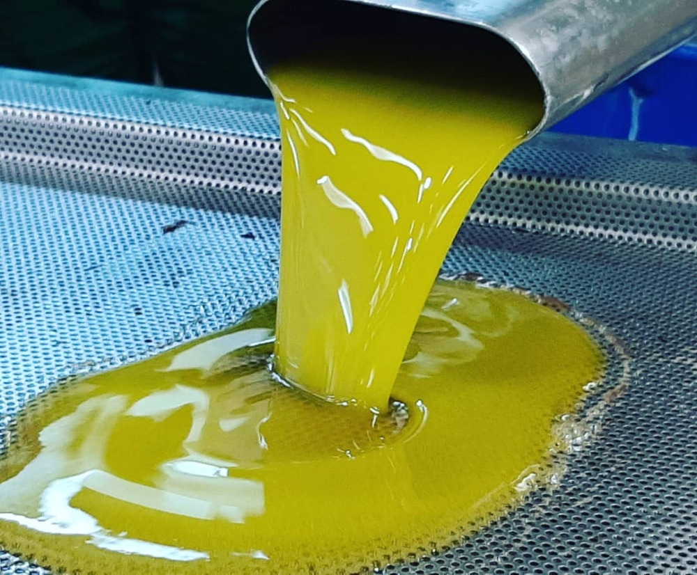 &Chi;&omega;&rho;ί&sigmaf; &laquo;&tau;&alpha;&beta;ά&nu;&iota;&raquo; &tau;&omicron; &epsilon;&lambda;&alpha;&iota;ό&lambda;&alpha;&delta;&omicron; &sigma;&tau;&eta; &Lambda;&alpha;&kappa;&omega;&nu;ί&alpha;