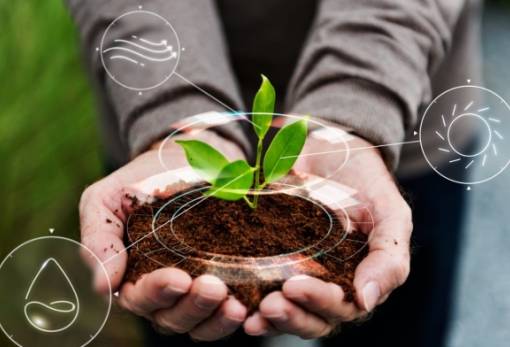 Συνάντηση φυτοϋγειονομικών επιθεωρητών της ΕΕ για αντιμετώπιση νέων απειλών