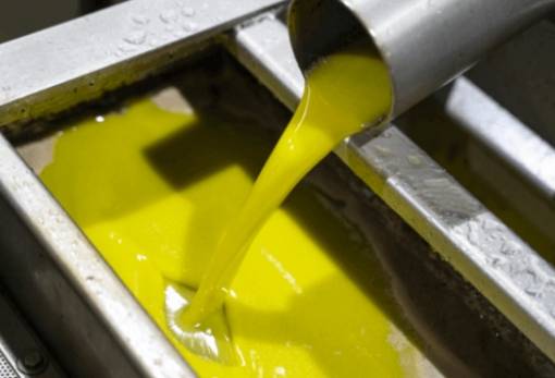 Στα 5,5 ευρώ «έφυγε» ελαιόλαδο στη νοτιοανατολική Λακωνία