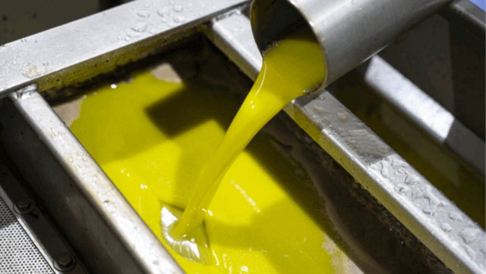 &Sigma;&tau;&alpha; 5,5 &epsilon;&upsilon;&rho;ώ &laquo;έ&phi;&upsilon;&gamma;&epsilon;&raquo; &epsilon;&lambda;&alpha;&iota;ό&lambda;&alpha;&delta;&omicron; &sigma;&tau;&eta; &nu;&omicron;&tau;&iota;&omicron;&alpha;&nu;&alpha;&tau;&omicron;&lambda;&iota;&kappa;ή &Lambda;&alpha;&kappa;&omega;&nu;ί&alpha;