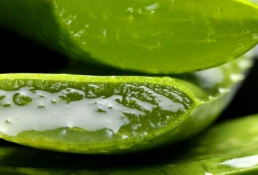 3 λόγοι για να εντάξεις την αλόη στη ρουτίνα σου αυτή την περίοδο