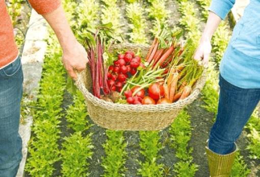 Αυξήθηκε το εμπορικό πλεόνασμα της ΕΕ στον αγροδιατροφικό τομέα