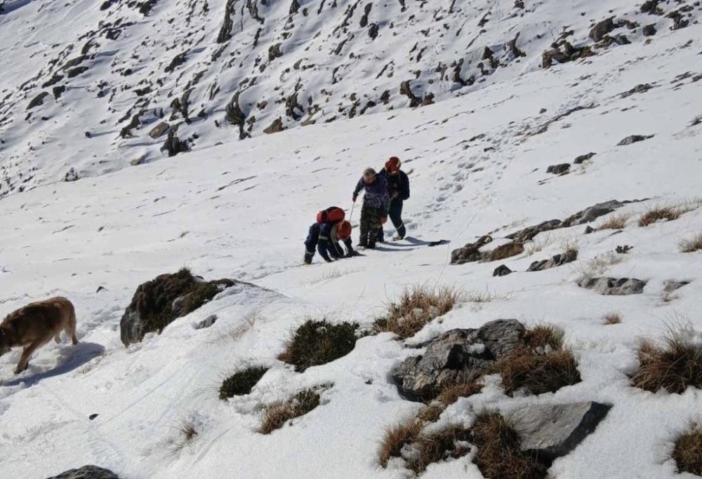 &Mu;&epsilon;&gamma;ά&lambda;&eta; &epsilon;&pi;&iota;&chi;&epsilon;ί&rho;&eta;&sigma;&eta; &gamma;&iota;&alpha; 8 &omicron;&rho;&epsilon;&iota;&beta;ά&tau;&epsilon;&sigmaf; &sigma;&tau;&omicron;&nu; &Tau;&alpha;ΰ&gamma;&epsilon;&tau;&omicron;