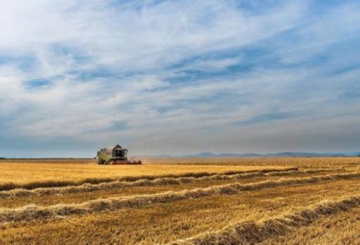 ΣΣ ΚΑΠ: Νέα τροποποίηση για περιβαλλοντικά προγράμματα και οικολογικά σχήματα