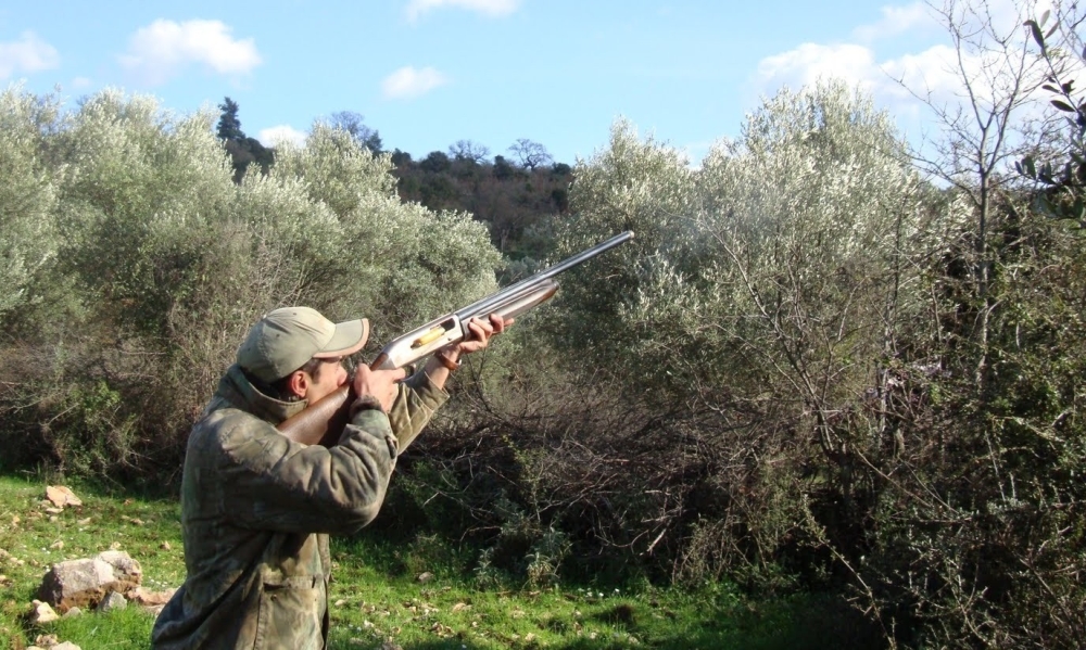 &Pi;&lambda;ή&rho;&eta;&sigmaf; &alpha;&pi;&alpha;&gamma;ό&rho;&epsilon;&upsilon;&sigma;&eta; &kappa;&upsilon;&nu;&eta;&gamma;&iota;&omicron;ύ &gamma;&iota;&alpha; 3 &chi;&rho;ό&nu;&iota;&alpha; &sigma;&epsilon; &kappa;&alpha;&mu;έ&nu;&epsilon;&sigmaf; &epsilon;&kappa;&tau;ά&sigma;&epsilon;&iota;&sigmaf; &sigma;&tau;&eta; &Mu;&epsilon;&tau;&alpha;&mu;ό&rho;&phi;&omega;&sigma;&eta;