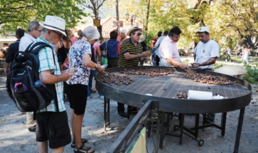 &laquo;&Gamma;&iota;&omicron;&rho;&tau;ή &Kappa;ά&sigma;&tau;&alpha;&nu;&omicron;&upsilon;&raquo; &gamma;&iota;&alpha; 17&eta; &chi;&rho;&omicron;&nu;&iota;ά &sigma;&tau;&eta;&nu; Ά&rho;&nu;&alpha;