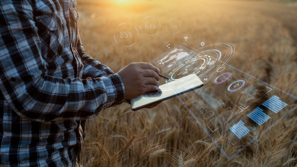 &Epsilon;&Epsilon;: &Pi;&rho;ό&sigma;&kappa;&lambda;&eta;&sigma;&eta; &gamma;&iota;&alpha; &nu;έ&epsilon;&sigmaf; &omicron;&mu;ά&delta;&epsilon;&sigmaf; &epsilon;&sigma;&tau;ί&alpha;&sigma;&eta;&sigmaf; &tau;&omicron;&upsilon; &delta;&iota;&kappa;&tau;ύ&omicron;&upsilon; &Kappa;&Alpha;&Pi; &ndash; EU CAP NETWORK