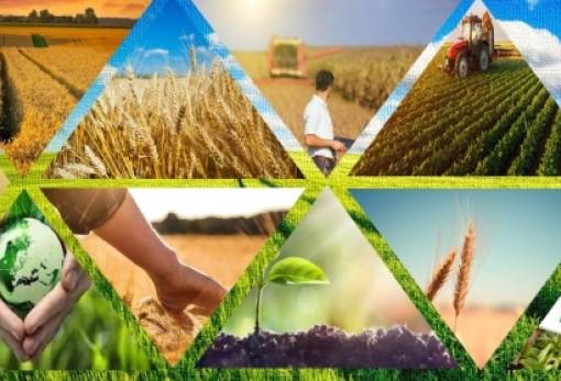 Συγκροτήθηκε σε σώμα η Επιτροπή Διαχείρισης Leader