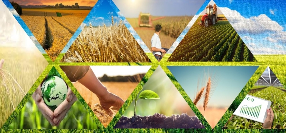 &Sigma;&upsilon;&gamma;&kappa;&rho;&omicron;&tau;ή&theta;&eta;&kappa;&epsilon; &sigma;&epsilon; &sigma;ώ&mu;&alpha; &eta; &Epsilon;&pi;&iota;&tau;&rho;&omicron;&pi;ή &Delta;&iota;&alpha;&chi;&epsilon;ί&rho;&iota;&sigma;&eta;&sigmaf; Leader