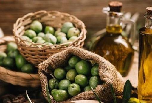 Μετατέθηκε η ψηφιακή έκδοση δελτίου ελαιοκάρπου μα τα υψηλά πρόστιμα παραμένουν