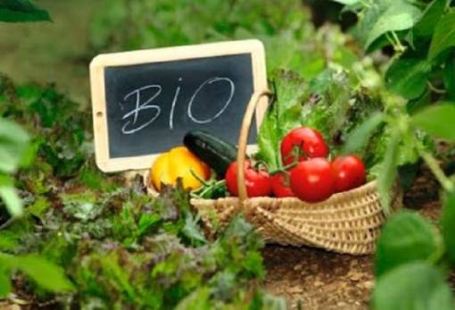 Έως 16 Ιουνίου η υποβολή αιτημάτων στα Βιολογικά για αλλαγές, μεταβιβάσεις