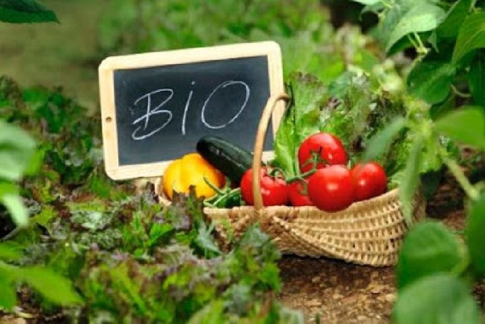 Έ&omega;&sigmaf; 16 &Iota;&omicron;&upsilon;&nu;ί&omicron;&upsilon; &eta; &upsilon;&pi;&omicron;&beta;&omicron;&lambda;ή &alpha;&iota;&tau;&eta;&mu;ά&tau;&omega;&nu; &sigma;&tau;&alpha; &Beta;&iota;&omicron;&lambda;&omicron;&gamma;&iota;&kappa;ά &gamma;&iota;&alpha; &alpha;&lambda;&lambda;&alpha;&gamma;έ&sigmaf;, &mu;&epsilon;&tau;&alpha;&beta;&iota;&beta;ά&sigma;&epsilon;&iota;&sigmaf;