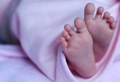 Ξεκινά στο Δήμο Ευρώτα το πρόγραμμα «Νταντάδες της Γειτονιάς»