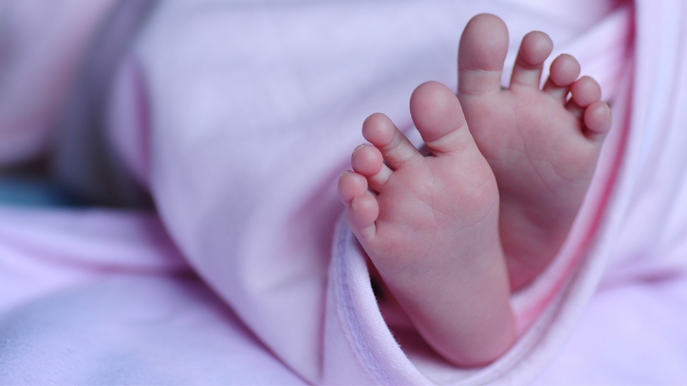 &Xi;&epsilon;&kappa;&iota;&nu;ά &sigma;&tau;&omicron; &Delta;ή&mu;&omicron; &Epsilon;&upsilon;&rho;ώ&tau;&alpha; &tau;&omicron; &pi;&rho;ό&gamma;&rho;&alpha;&mu;&mu;&alpha; &laquo;&Nu;&tau;&alpha;&nu;&tau;ά&delta;&epsilon;&sigmaf; &tau;&eta;&sigmaf; &Gamma;&epsilon;&iota;&tau;&omicron;&nu;&iota;ά&sigmaf;&raquo;