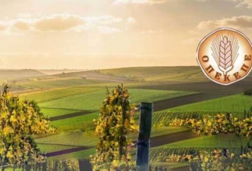 ΟΠΕΚΕΠΕ: Έως 20 Οκτωβρίου η μεταβίβαση δικαιωμάτων ενίσχυσης