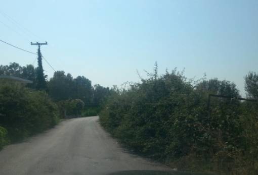 Γέμισε βάτα η οδός Νικ. Βρεττάκου στη Σπάρτη (ΦΩΤΟ)