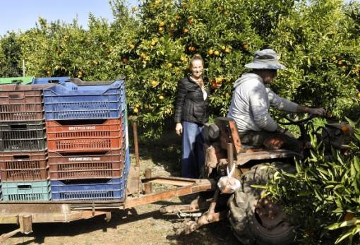 Πότε ξεκινούν πληρωμές στα προγράμματα Νέων Αγροτών, Θερμοκήπια, Ομάδες Παραγωγών και Συνεργασία