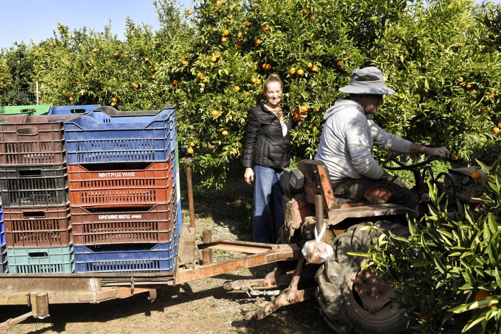 &Pi;ό&tau;&epsilon; &xi;&epsilon;&kappa;&iota;&nu;&omicron;ύ&nu; &pi;&lambda;&eta;&rho;&omega;&mu;έ&sigmaf; &sigma;&tau;&alpha; &pi;&rho;&omicron;&gamma;&rho;ά&mu;&mu;&alpha;&tau;&alpha; &Nu;έ&omega;&nu; &Alpha;&gamma;&rho;&omicron;&tau;ώ&nu;, &Theta;&epsilon;&rho;&mu;&omicron;&kappa;ή&pi;&iota;&alpha;, &Omicron;&mu;ά&delta;&epsilon;&sigmaf; &Pi;&alpha;&rho;&alpha;&gamma;&omega;&gamma;ώ&nu; &kappa;&alpha;&iota; &Sigma;&upsilon;&nu;&epsilon;&rho;&gamma;&alpha;&sigma;ί&alpha;