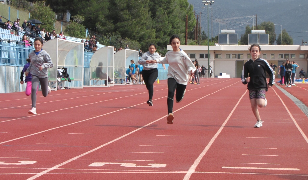 &Sigma;&tau;&omicron;&upsilon;&sigmaf; &Mu;&omicron;&lambda;ά&omicron;&upsilon;&sigmaf; &delta;&iota;&epsilon;&xi;ή&chi;&theta;&eta; &eta; &alpha;΄ &phi;ά&sigma;&eta;  &tau;&omicron;&upsilon; &Delta;&iota;&alpha;&sigma;&upsilon;&lambda;&lambda;&omicron;&gamma;&iota;&kappa;&omicron;ύ &pi;&rho;&omega;&tau;&alpha;&theta;&lambda;ή&mu;&alpha;&tau;&omicron;&sigmaf; &Sigma;&tau;ί&beta;&omicron;&upsilon; &Kappa;14