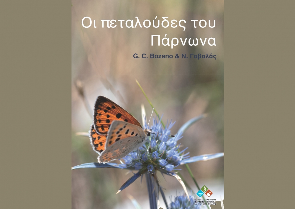 &laquo;&Omicron;&iota; &pi;&epsilon;&tau;&alpha;&lambda;&omicron;ύ&delta;&epsilon;&sigmaf; &tau;&omicron;&upsilon; &Pi;ά&rho;&nu;&omega;&nu;&alpha;&raquo; &sigma;&epsilon; &mu;&iota;&alpha; &sigma;&upsilon;&lambda;&lambda;&epsilon;&kappa;&tau;&iota;&kappa;ή έ&kappa;&delta;&omicron;&sigma;&eta;