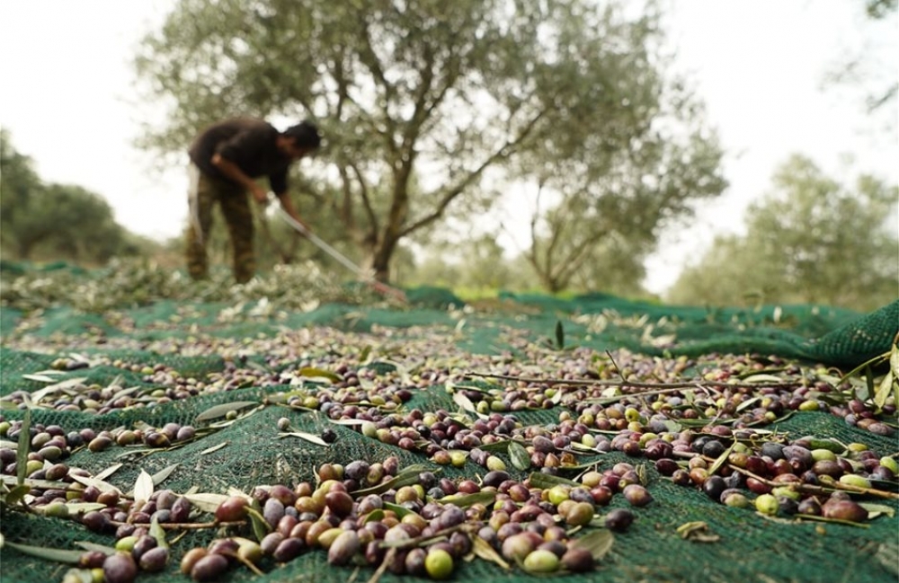 &Pi;&rho;&omicron;&sigmaf; &lambda;ύ&sigma;&eta; &sigma;&tau;&omicron; &alpha;&delta;&iota;έ&xi;&omicron;&delta;&omicron; &mu;&epsilon; &tau;&omicron;&upsilon;&sigmaf; &epsilon;&rho;&gamma;ά&tau;&epsilon;&sigmaf; &gamma;&eta;&sigmaf;