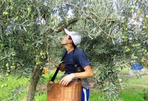 16,7 εκ. ευρώ στην Περιφέρεια Πελοποννήσου για τα Σχέδια Βελτίωσης