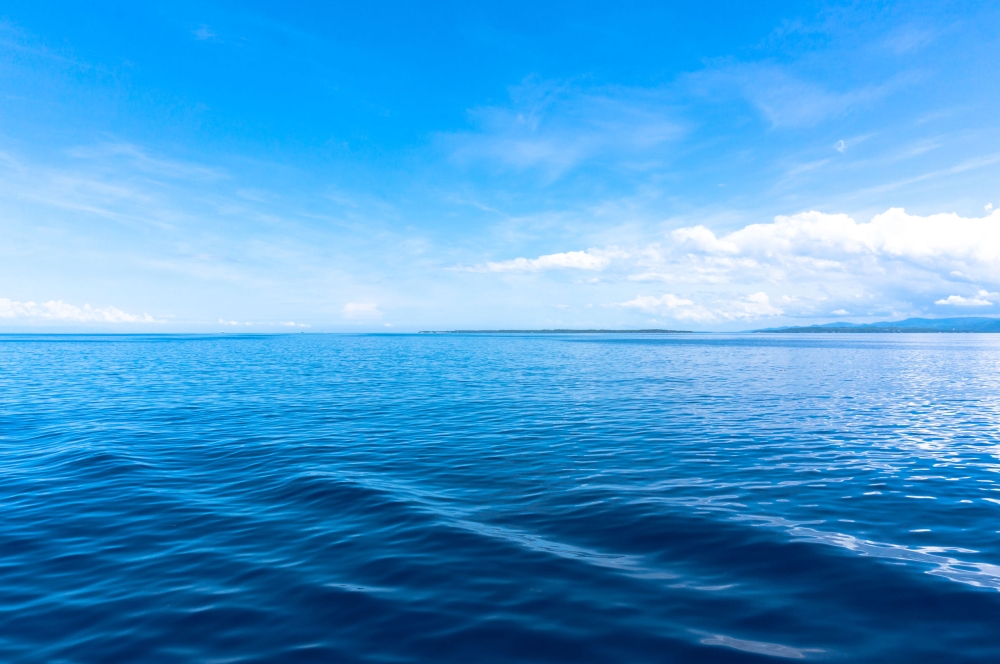 &Mu;&epsilon;&lambda;έ&tau;&eta; &kappa;&alpha;&tau;&alpha;&gamma;&rho;ά&phi;&epsilon;&iota; &rho;&alpha;&gamma;&delta;&alpha;ί&alpha; &theta;έ&rho;&mu;&alpha;&nu;&sigma;&eta; &tau;&omicron;&upsilon; &nu;&epsilon;&rho;&omicron;ύ &sigma;&tau;&iota;&sigmaf; &epsilon;&lambda;&lambda;&eta;&nu;&iota;&kappa;έ&sigmaf; &theta;ά&lambda;&alpha;&sigma;&sigma;&epsilon;&sigmaf;