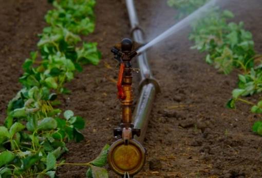 Διαπιστώσεις και προτάσεις Παυλάκη για την αρδευτική περίοδο στον Δ. Ευρώτα