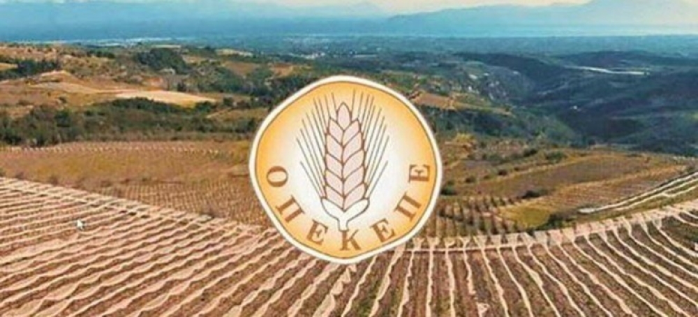 &Alpha;&nu;&omicron;&iota;&kappa;&tau;ό &tau;&omicron; &Omicron;&Sigma;&Delta;&Epsilon; 2024 &gamma;&iota;&alpha; &delta;&iota;&omicron;&rho;&theta;ώ&sigma;&epsilon;&iota;&sigmaf; έ&omega;&sigmaf; &tau;&iota;&sigmaf; 12 &Mu;&alpha;ΐ&omicron;&upsilon;