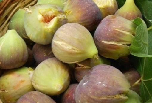 Η κυρά με τα σύκα